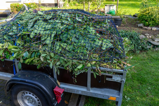 Best Estate Cleanout  in Saranac, MI